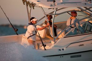 TMF_Buddies_SailFish_03364_RGB