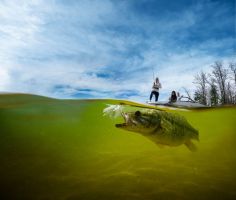 UnderwaterFish_DSC09382_rt1_150dpi